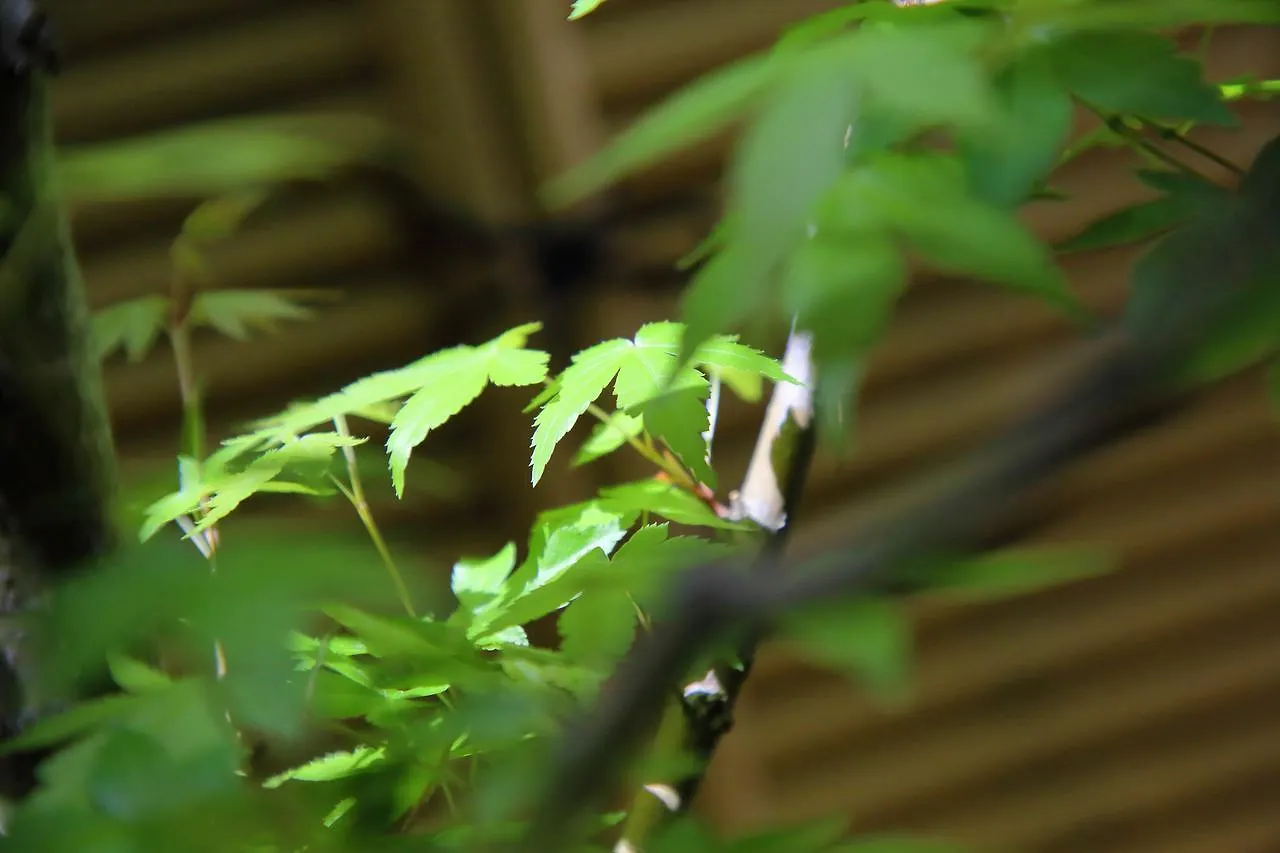 Kyo Machiya Ryokan Yuan Kyoto